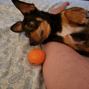 Meet your Posher, Lisa